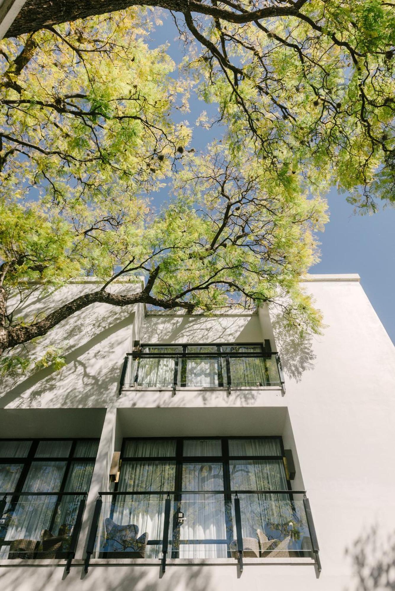 Hotel Matilda, A Member Of Design Hotels サン・ミゲル・デ・アジェンデ エクステリア 写真